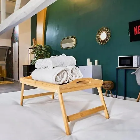 Loft Lumineux & Cosy Sous Les Toits Apartmán