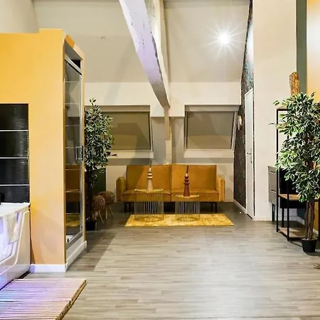 Loft Lumineux & Cosy Sous Les Toits *