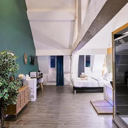 Loft Lumineux & Cosy Sous Les Toits *